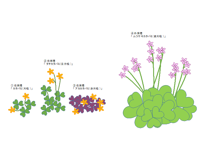 芸能人愛用 使用済み切手⑪ 普通切手 新動植物国宝切手 いろいろ ２２枚 満月 櫛型 機械印 和文ローラー