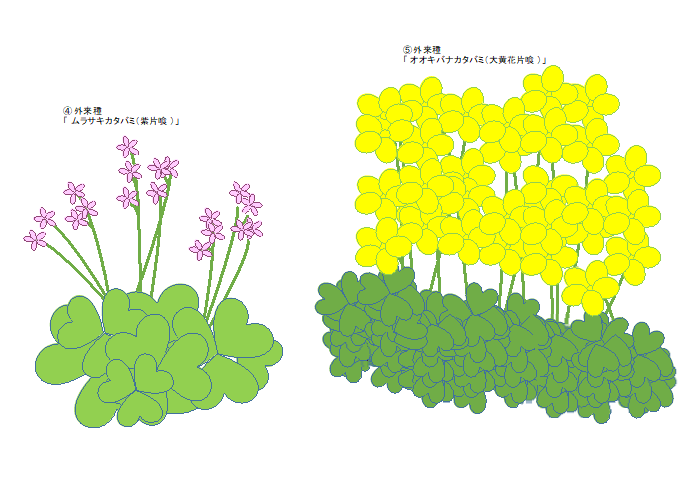 芸能人愛用 使用済み切手⑪ 普通切手 新動植物国宝切手 いろいろ ２２枚 満月 櫛型 機械印 和文ローラー