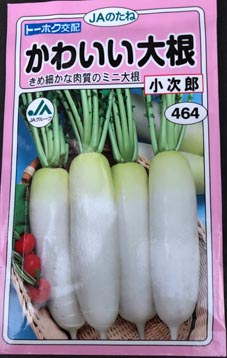 S-Photo-Radish1.jpg